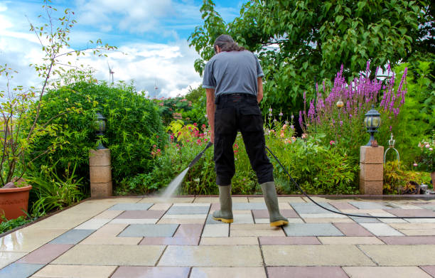 Best Sidewalk and Walkway Cleaning  in Postville, IA